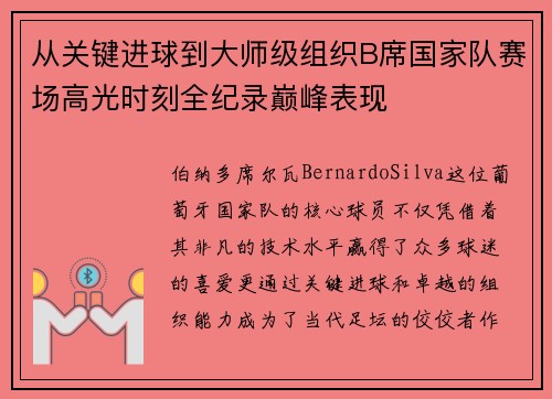 从关键进球到大师级组织B席国家队赛场高光时刻全纪录巅峰表现 从关键进球到大师级组织B席国家队赛场高光时刻全纪录巅峰表现
